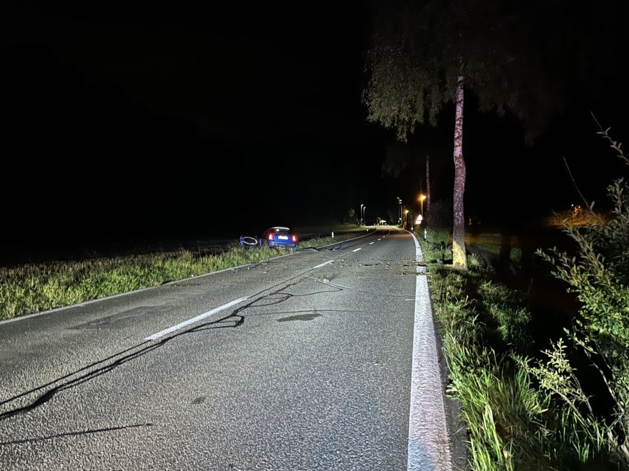 Der Autofahrer gab an, einem Reh ausgewichen zu sein.