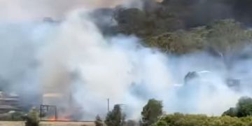 Australien Buschbrände