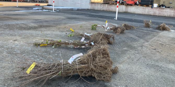 Sträuchertausch-Aktion