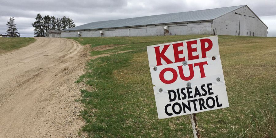 Warnschild Vogelgrippe Tierseuche USA