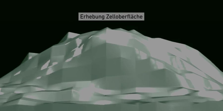 Erst wenn es eine Stelle mit besonders vielen passenden Rezeptoren findet, startet der Eintritt in die Zelle.