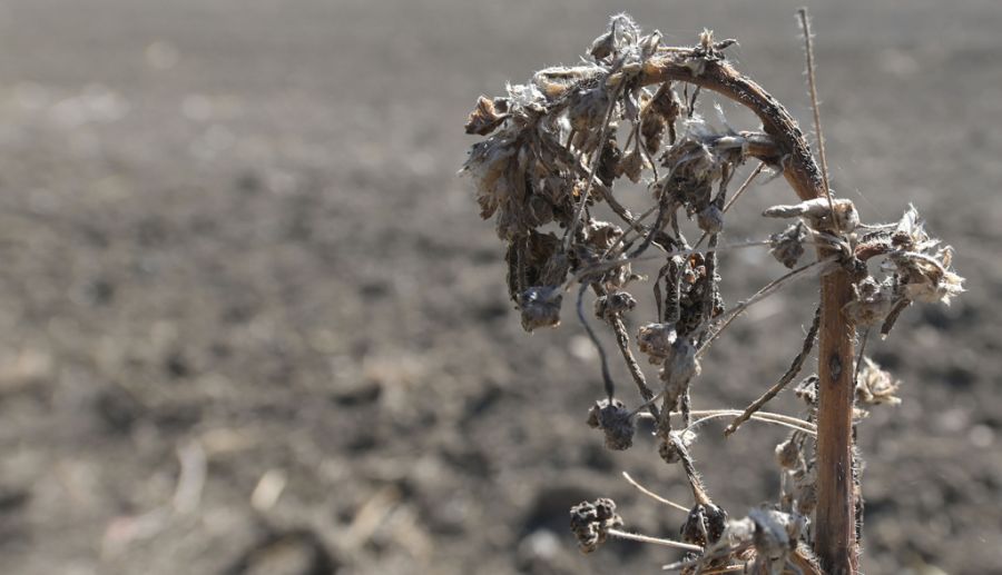Das sind dem UN-Flüchtlingshilfswerk zufolge 70'000 Menschen pro Tag.