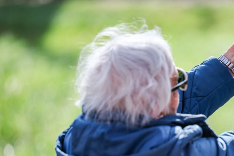 Während der Wanderung blieb die Seniorin stehen und verirrte sich anschliessend auf dem Rückweg zum Schiff. (Symbolbild)