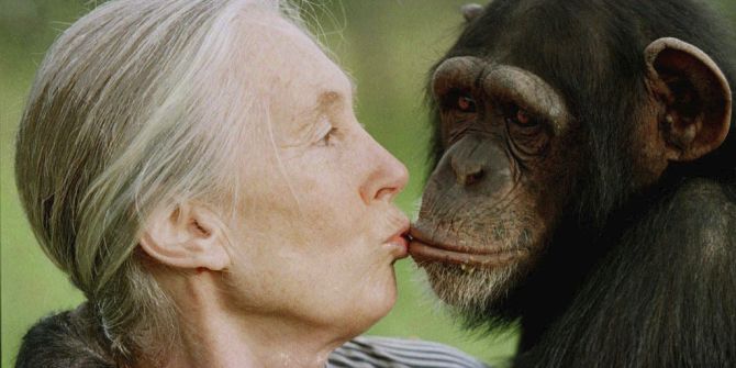 jane goodall