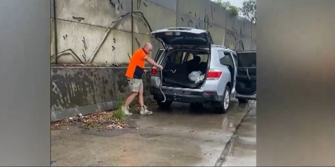 Die Schlange wurde von einem Experten fachgerecht aus dem Auto entfernt. Schlange