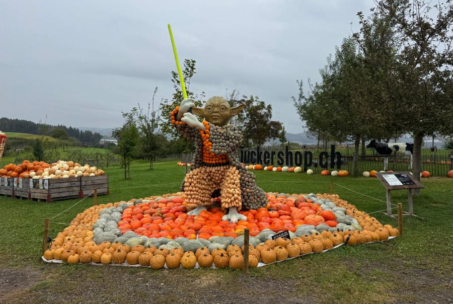 Stattdessen zieht es sie zum Bächlihof in Rapperswil-Jona SG.