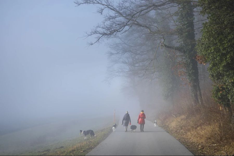 Für einen Ausflug bietet sich das Wetter wohl insbesondere am Vormittag noch nicht besonders an. (Archivbild)