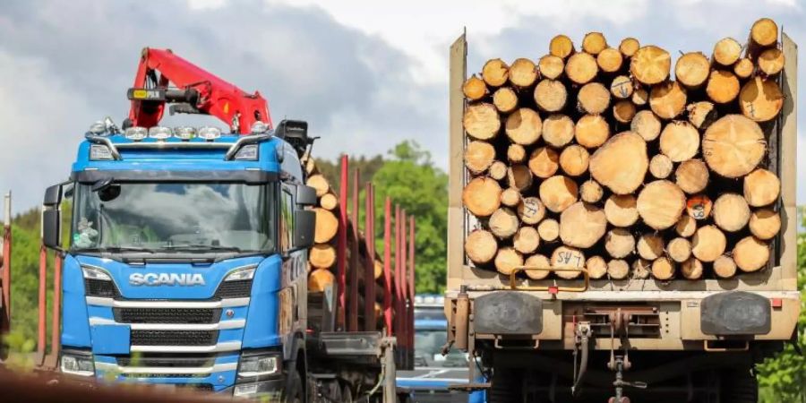 Baumstämme liegen auf einem Güterzug im Erzgebirge. Foto: Jan Woitas/dpa-Zentralbild/dpa