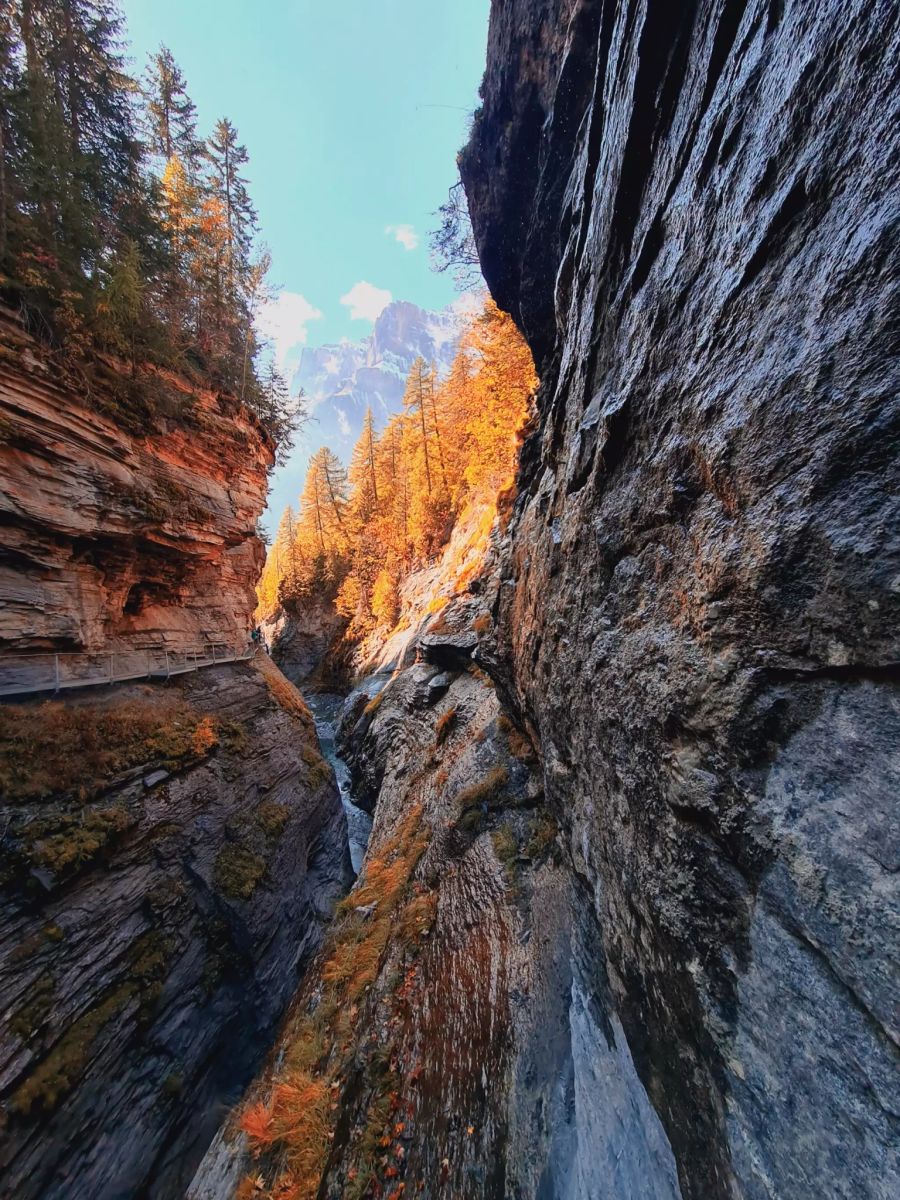 Bergschlucht