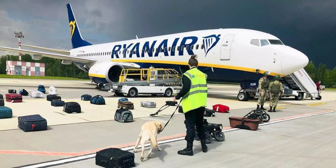 HANDOUT - 23.05.2021, Belarus, Minsk: Eine Sicherheitskraft Spürhund inspiziert mit einem Spürhund das Gepäck eines Ryanair-Flugzeuges. In Belarus abgefangene Ryanair-Maschine