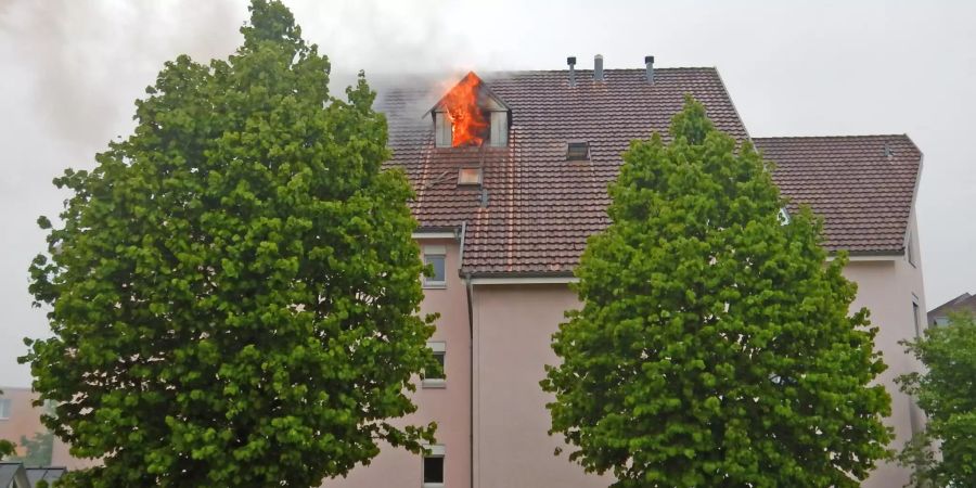Brand