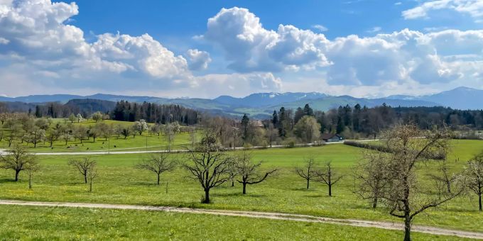 Landschaftsfoto Kappel am Albis. Landschaftsfoto Kappel am Albis.