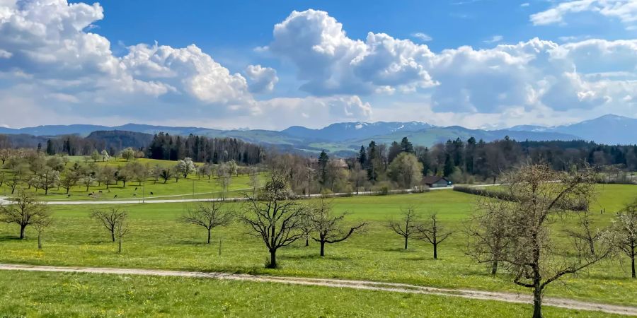 Landschaftsfoto Kappel am Albis.