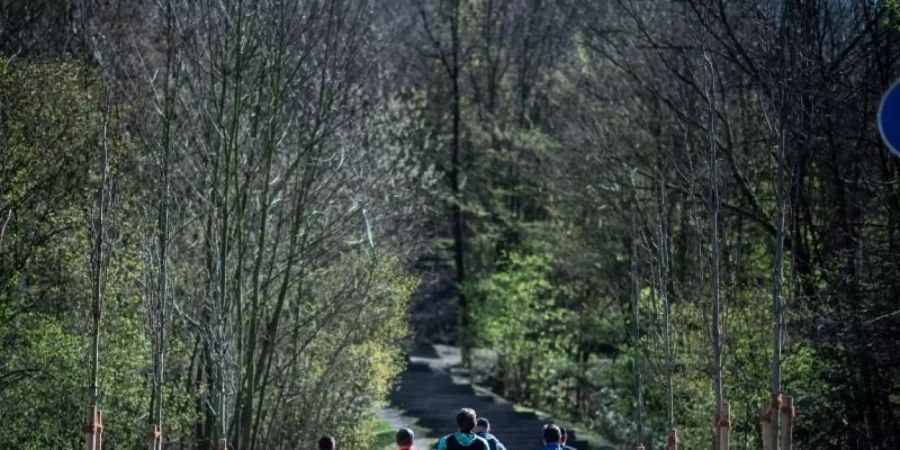 Seit Beginn der Corona-Krise hält sich mehr als die Hälfte der Jugendlichen nach eigener Einschätzung häufiger in der Natur auf. Foto: Fabian Strauch/dpa