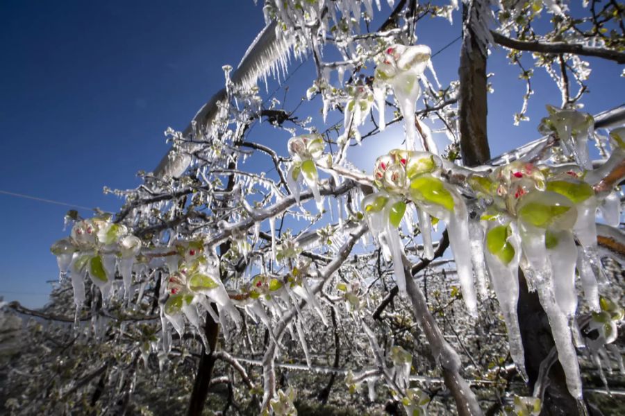 Frost Schutz Wasser