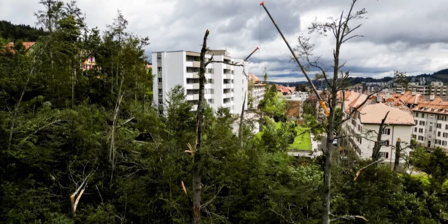 Aber: «Zu 95 Prozent handelte es sich in La Chaux-de-Fonds um ein Sturmereignis mit sehr starken Fallböen», so Sturm-Experte Kai Kobler.