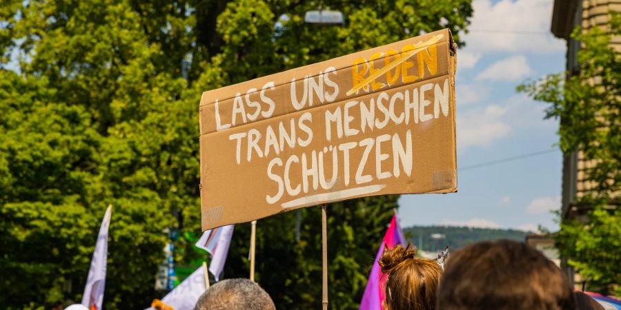 Pride Demonstrationsschild; «Lass uns Trans Menschen schützen».
