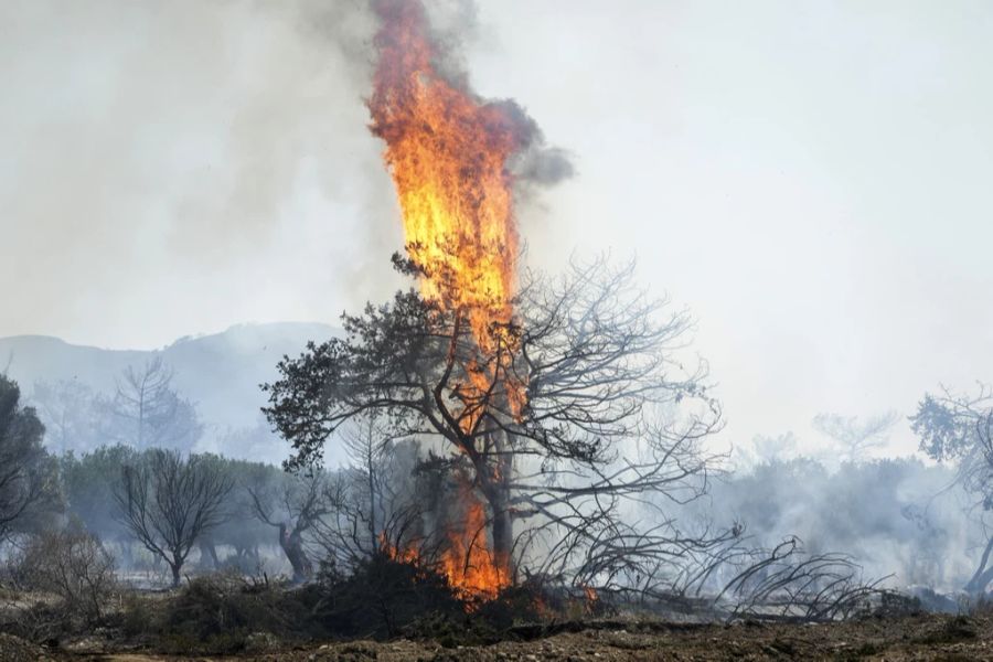 Seit Tagen tobt auf der griechischen Insel Rhodos ein Feuer.