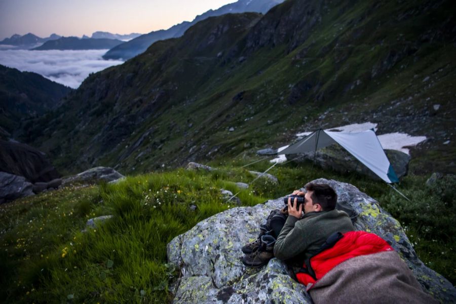 Oppal-Leiter Jérémie Moulin schützt die Schafe eines Züchters auf der Alp de la Corbassiere im Val de Bagnes vor dem Wolf.