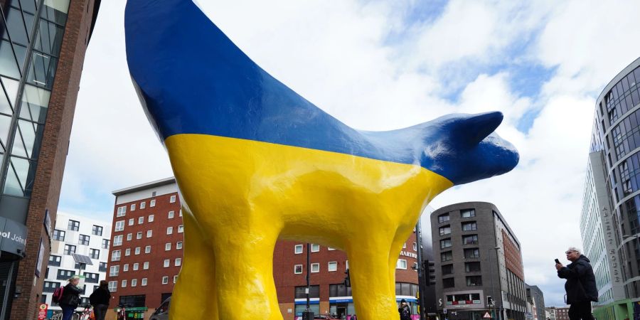 Die Superlambanana-Skulptur in Liverpool wurde in den Farben der ukrainischen Flagge gestrichen, bevor die Stadt am 13. Mai den Eurovision Song Contest ausrichtet.