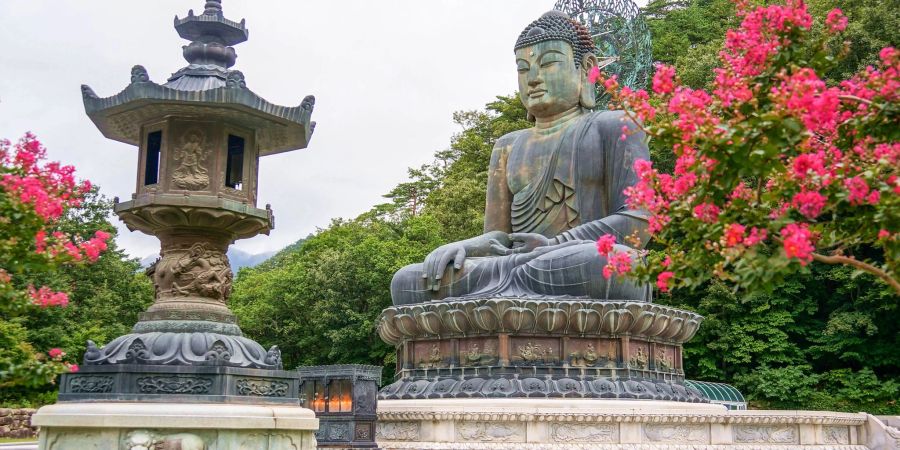 Südkorea will mehr Touristen ins Land locken und setzt unter anderem für deutsche Staatsbürger die K-ETA-Pflicht aus.