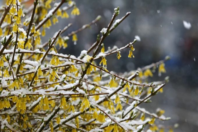 Frühling Schweiz
