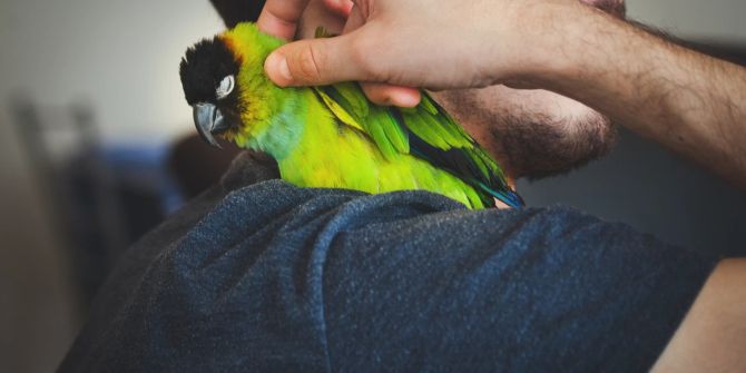 Vogel auf der Schulter eines Mannes