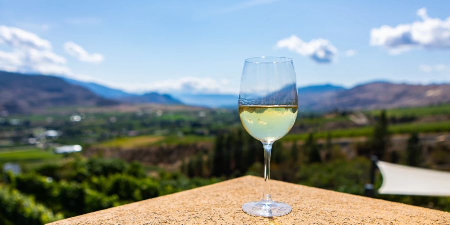 ein glas wein vor grünen feldern