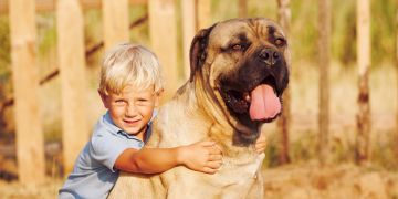 Junge und Hund