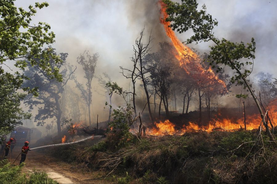 Waldbrand Portugal