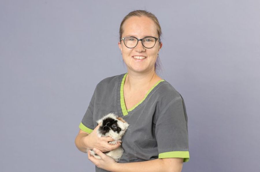 Jessica Frei, Tierärztin in Schäublis Tierklinik, informiert Nau.ch am Mittwoch über Vivos aktuellen Gesundheitszustand.