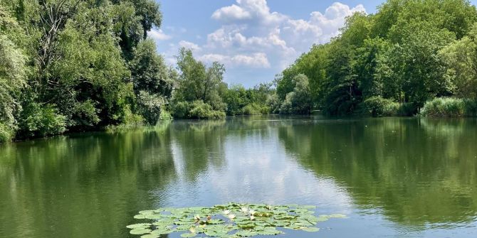 Uster ZH
