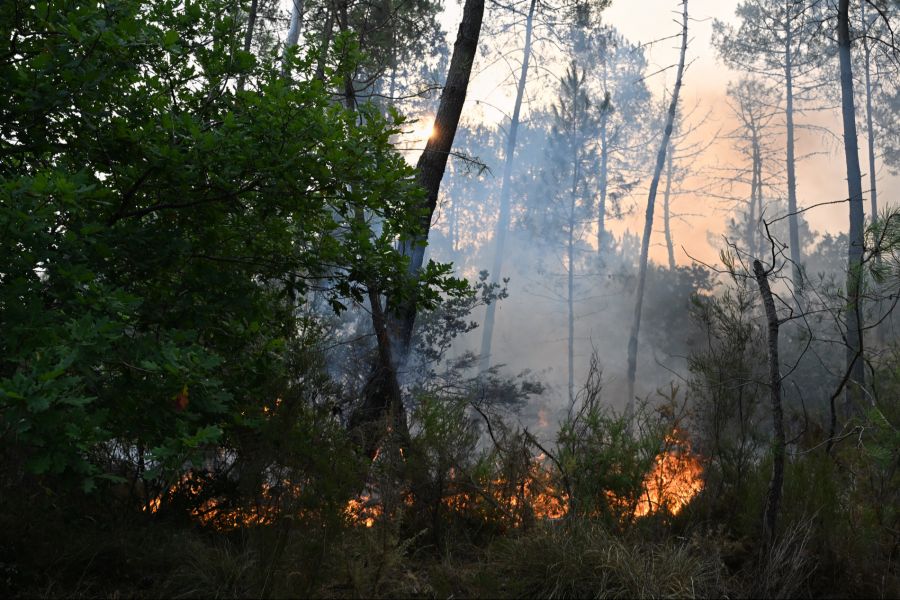 Waldbrand Frankreich