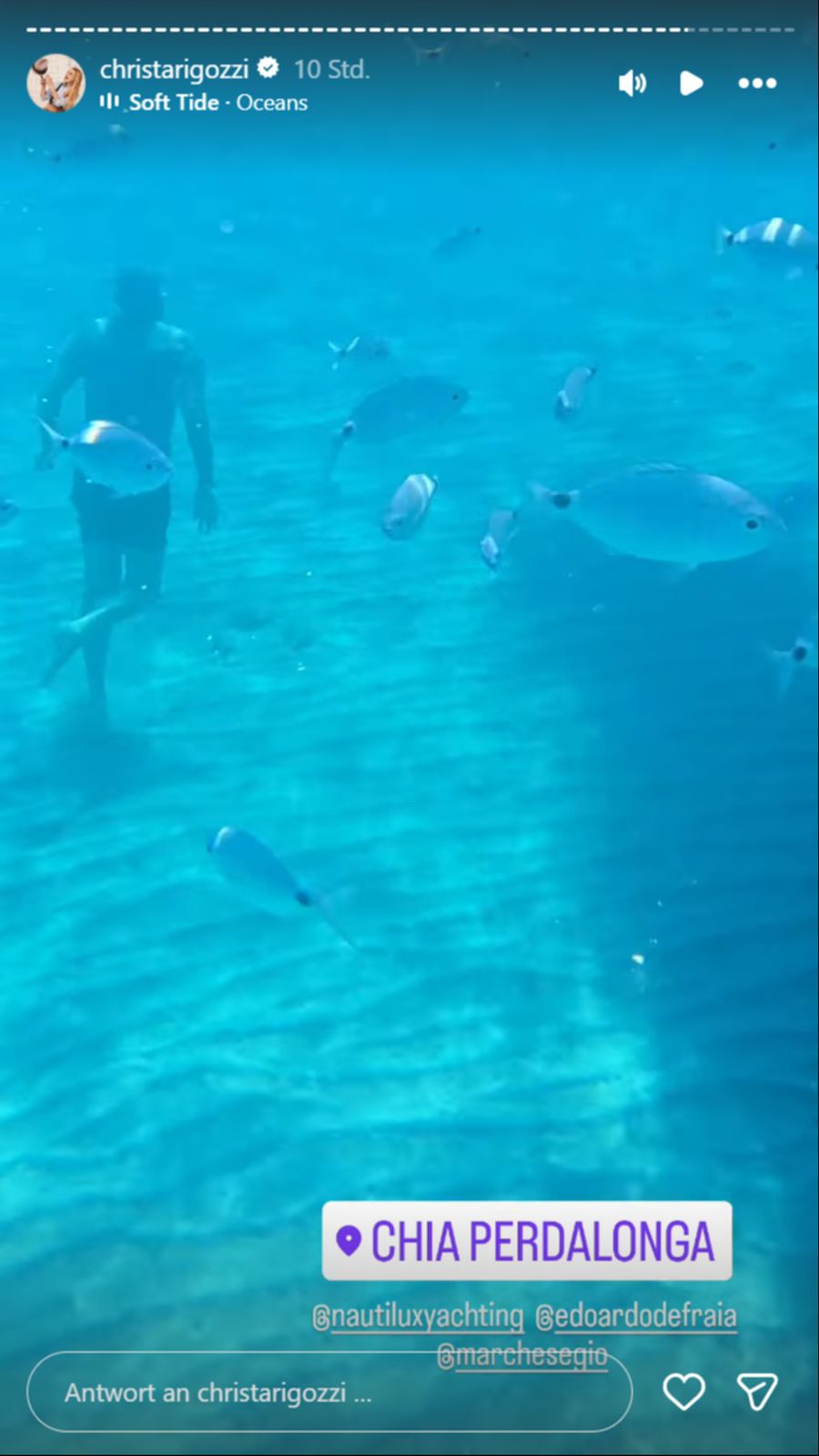 Unter Wasser trifft sie auf unzählige Fische.