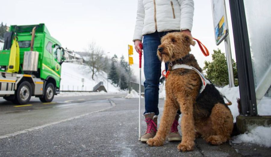 Der Instinkt des Hundes werde nicht unterdrückt. Vielmehr erlernt der Hund ein positives Alternativverhalten.