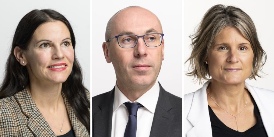 Fehr Düsel Bühler Steinemann