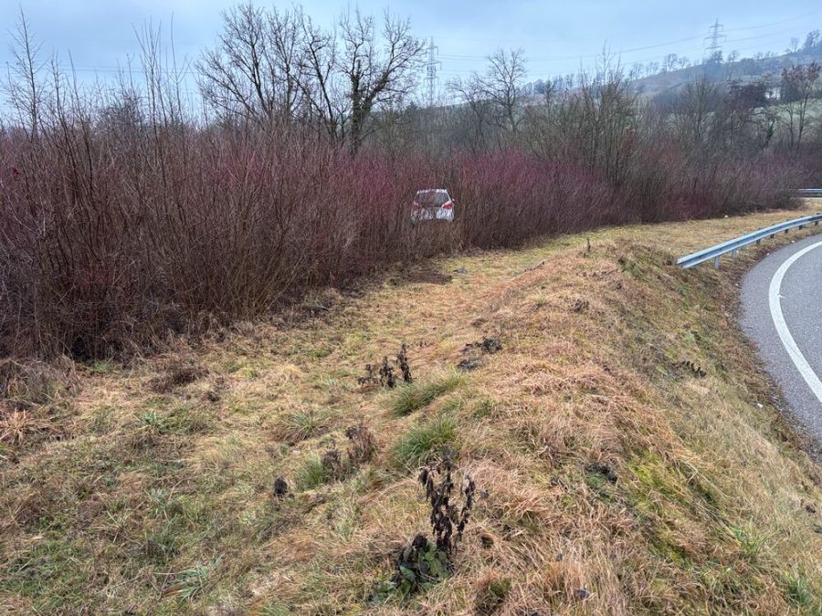 Der 80-jährige Fahrer war alkoholisiert.