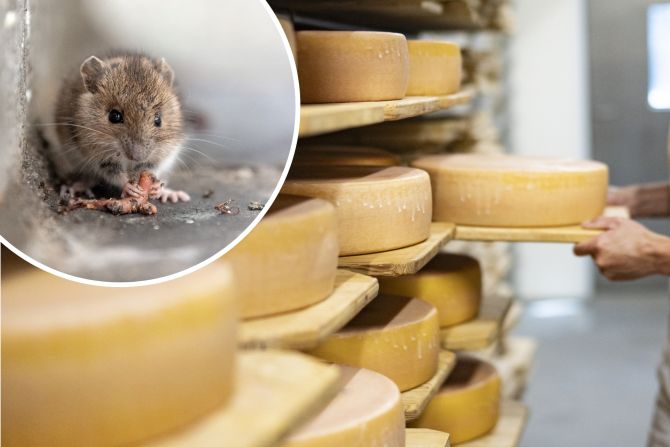 Solothurner Grüsel-Käserei