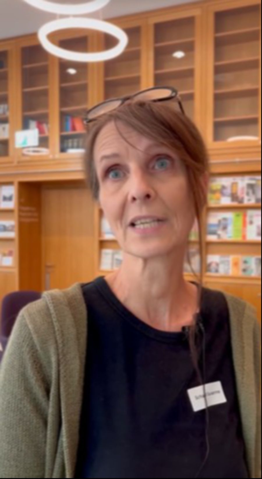 Susanne Schaaf Infosekta