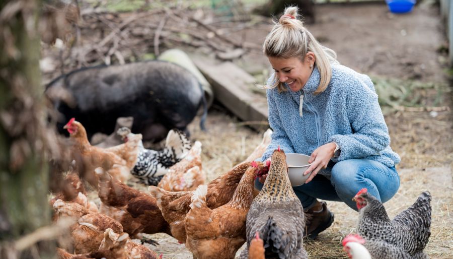 Simone Maurer rettet Hennen auf dem Lebenshof Sinulay in Wetzikon.