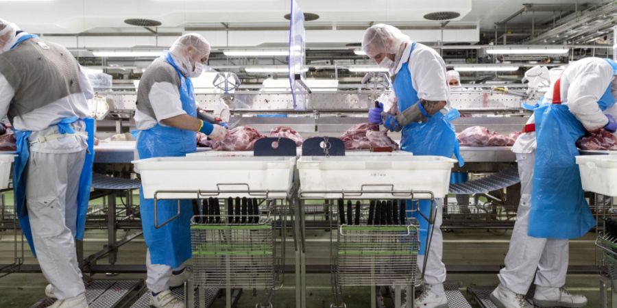 Das Oberamt des Broyebezirks hat grünes Licht erteilt für den geplanten Agrico-Campus und den Micarna-Geflügelschlachthof in St-Aubin. (Symbolbild)