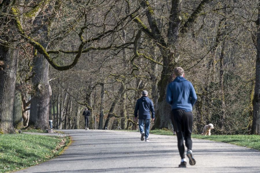 Eine Berner Joggerin wurde von einem Greifvogel angegriffen.