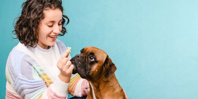 Hund bekommt Snack