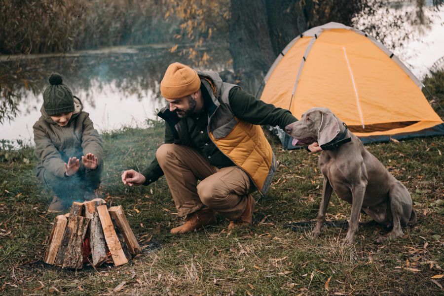 Zelten, Hund, Camping, Feuerstelle