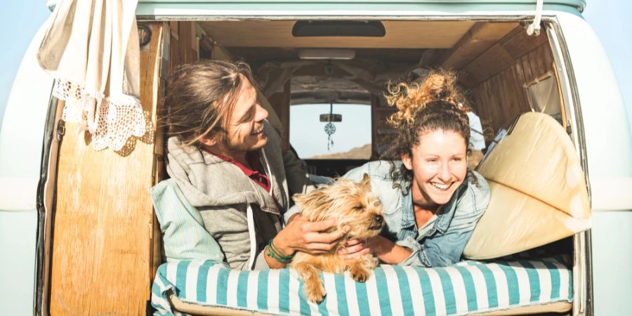 Pärchen Hund Heckklappe offen Bulli Sommer Sonne