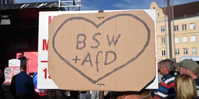 afd bsw