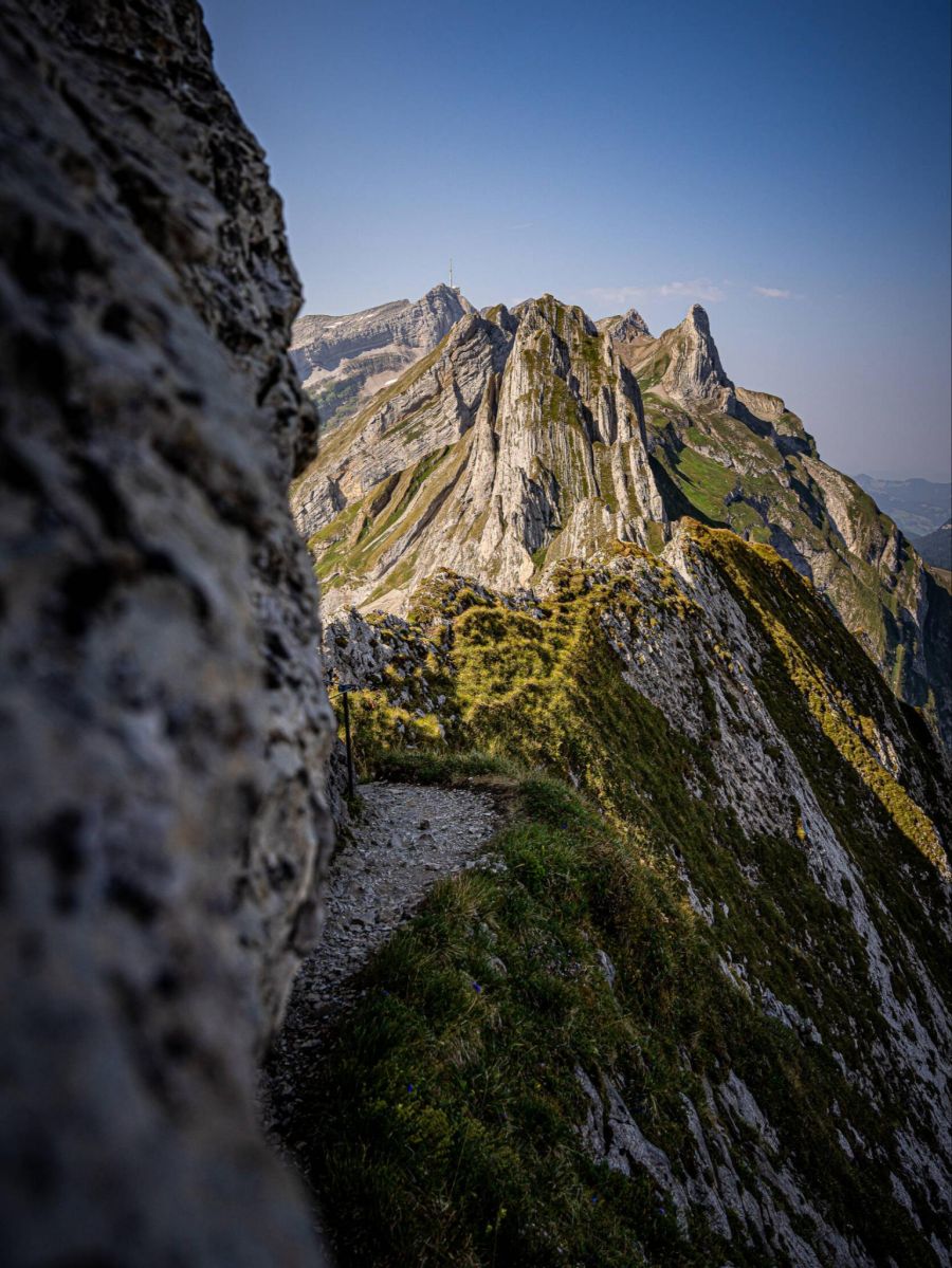 «Das Interesse an der Bergwelt hat zweifellos zugenommen.»