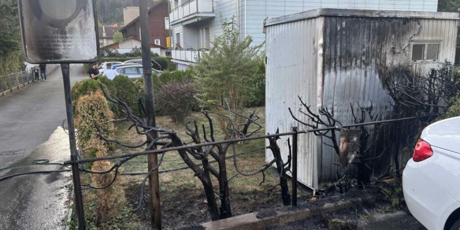 In einem Quartier in Wohlen AG hat eine brennende Hecke ein Verkehrsschild, ein Auto und ein Gartenhaus beschädigt.