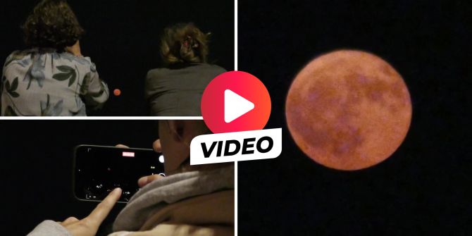 Zürich Erdbeermond
