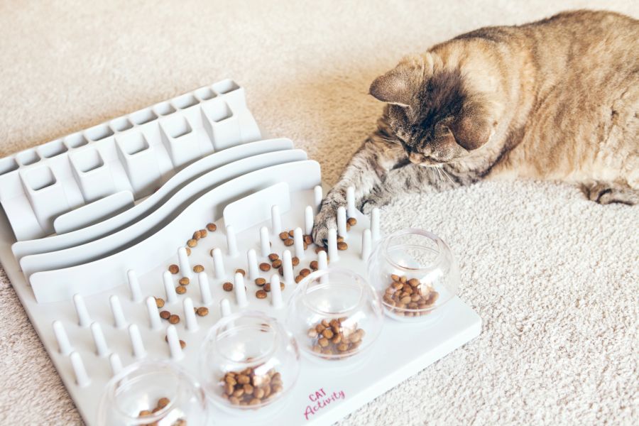 katze geschenk spielzeug geschicklichkeit